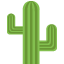 🌵